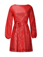 Sequin Tie Waist Long Sleeve Mini Dress (9)