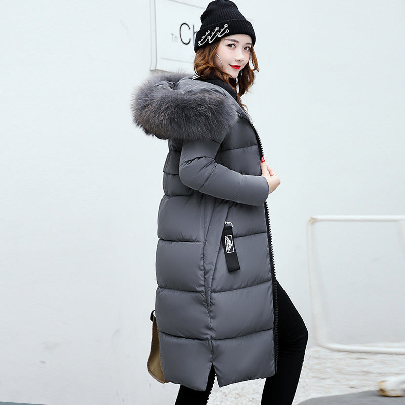 Long Cotton Jacket Hooded Big Fur Collar Down variant CJNSWTFP00063-Gray-4xl