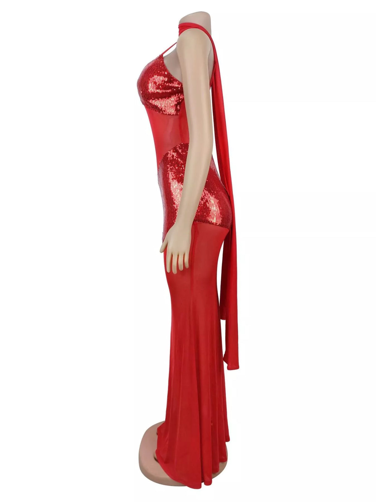 Sequin V-neck Sheer Mesh Maxi Dress (10)