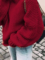 Chunky Knit Turtleneck Sweater (3)