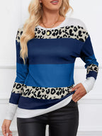 Leopard Block Striped Knit Top