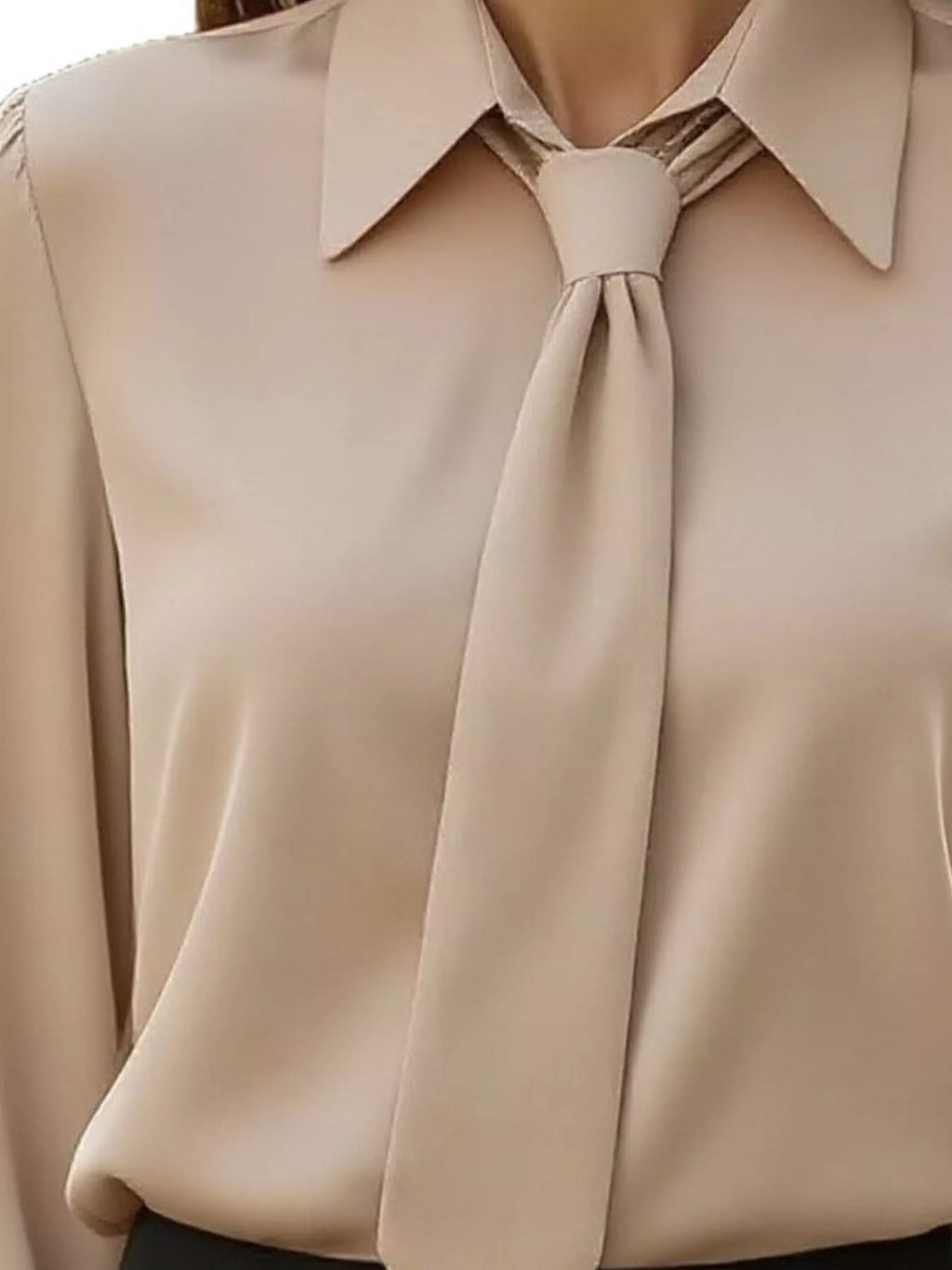Tie-neck Long Sleeve Blouse (2)
