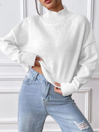 Turtleneck Long Sleeve Sweater (3)