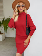 Turtle Neck Long Sleeve Ribbed Sweater Dress (3)