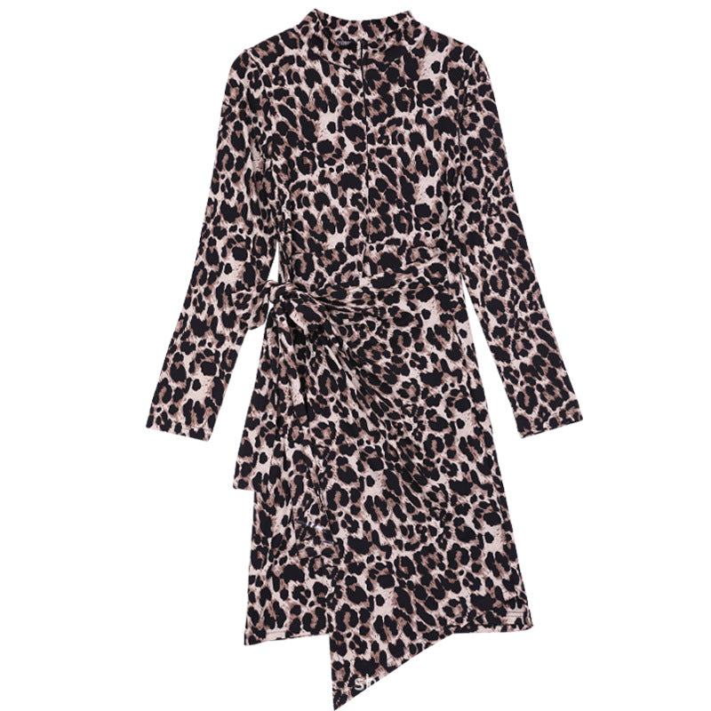 Half Turtleneck Leopard Print Dress photo 5