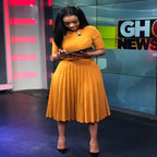 High Waist Pleated Dress photo 3