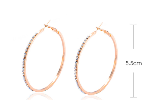 Street Exaggerated Geometric Diamond Earrings photo 6