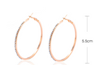 Street Exaggerated Geometric Diamond Earrings photo 6