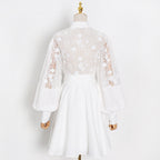 Stand Collar Lantern Sleeve Lace Perspective Short Dress photo 8