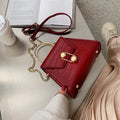 Korean Retro Port Small Square Bag Stone Pattern variant CJNS111013601AZ