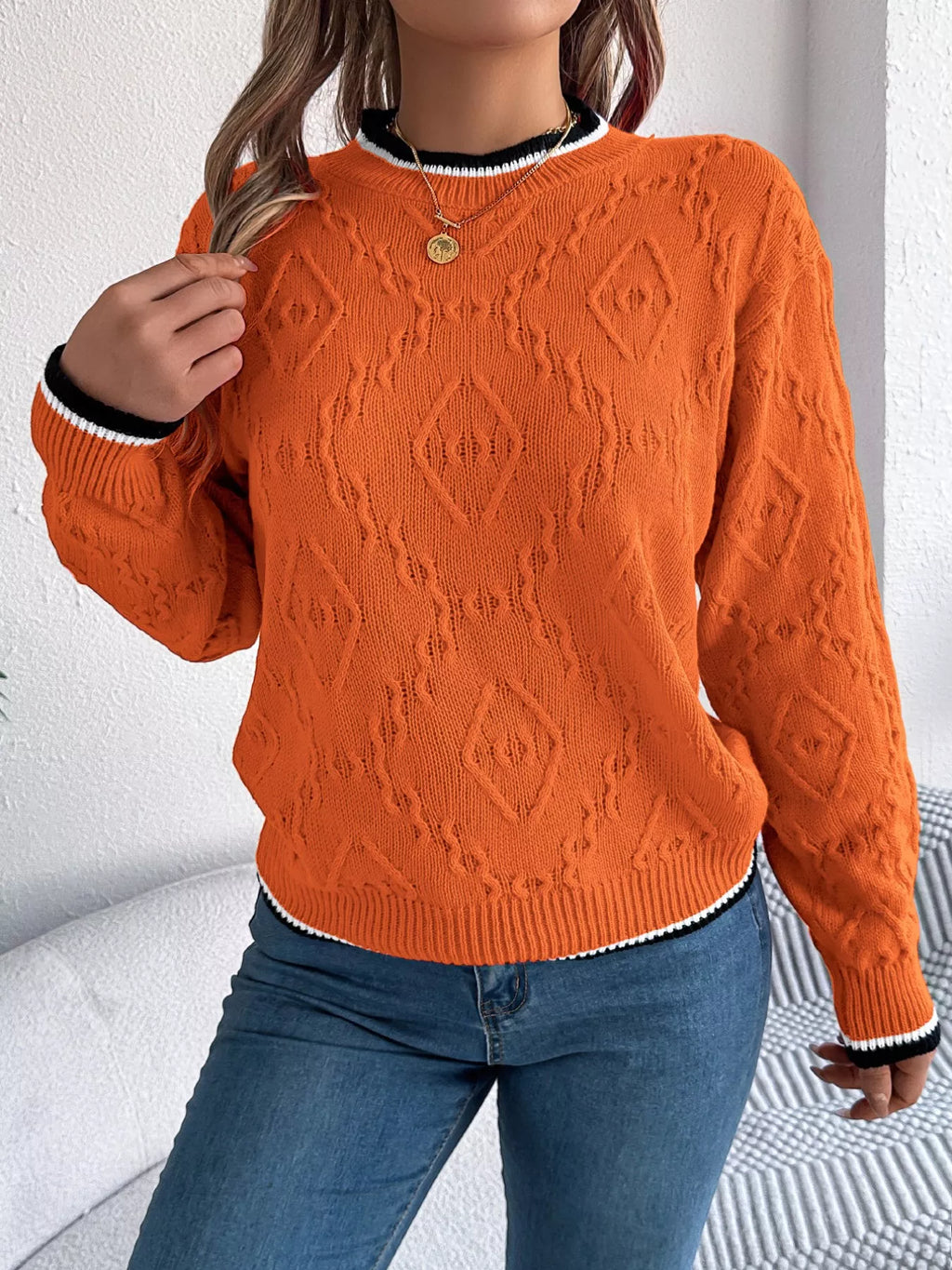 Contrast Trim Round Neck Sweater (16)