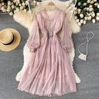 Mesh Midi Dress photo 5