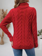 Cable Knit Turtleneck Long Sleeve Sweater (25)