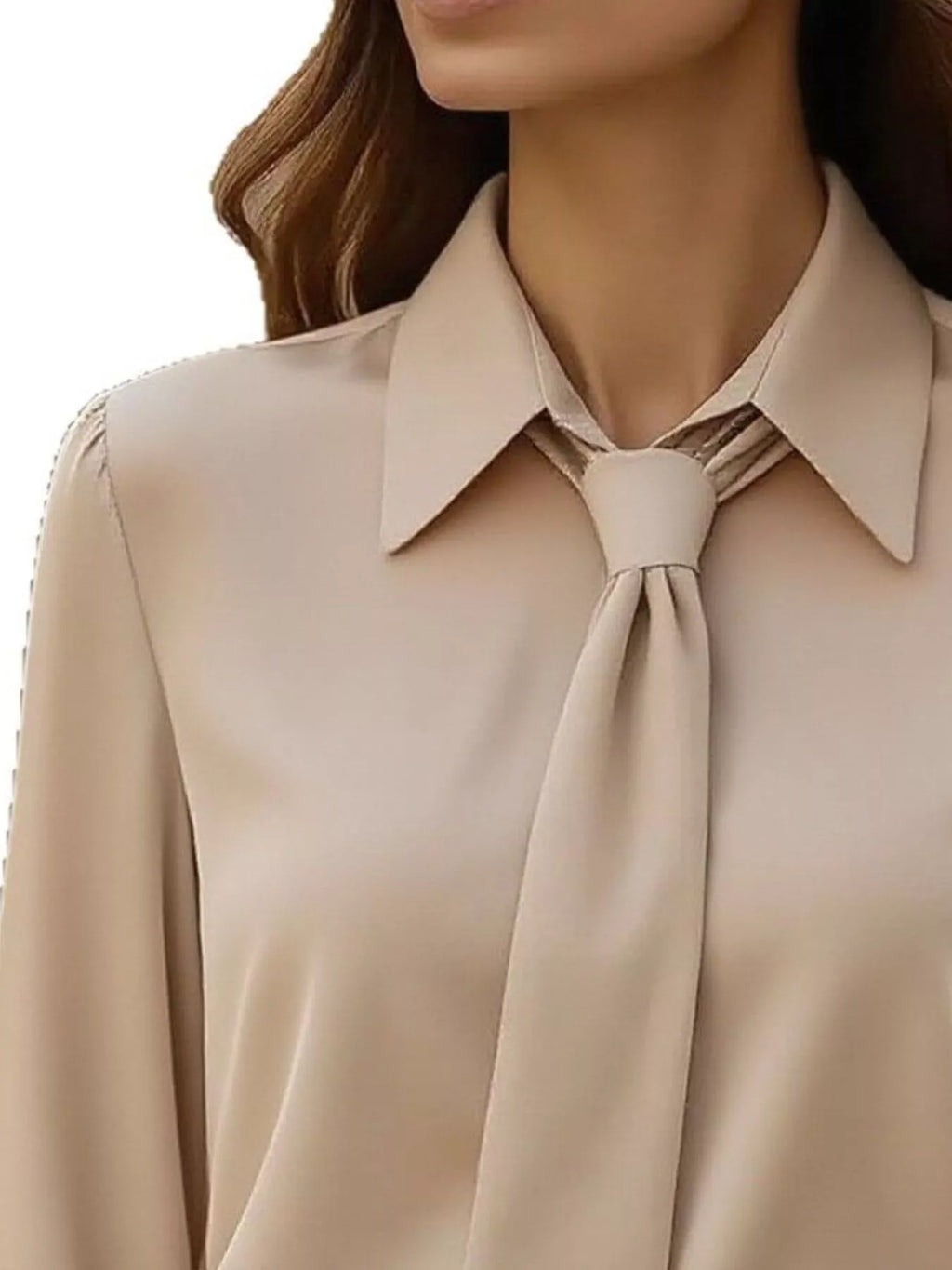 Collared Neck Long Sleeve Blouse (12)