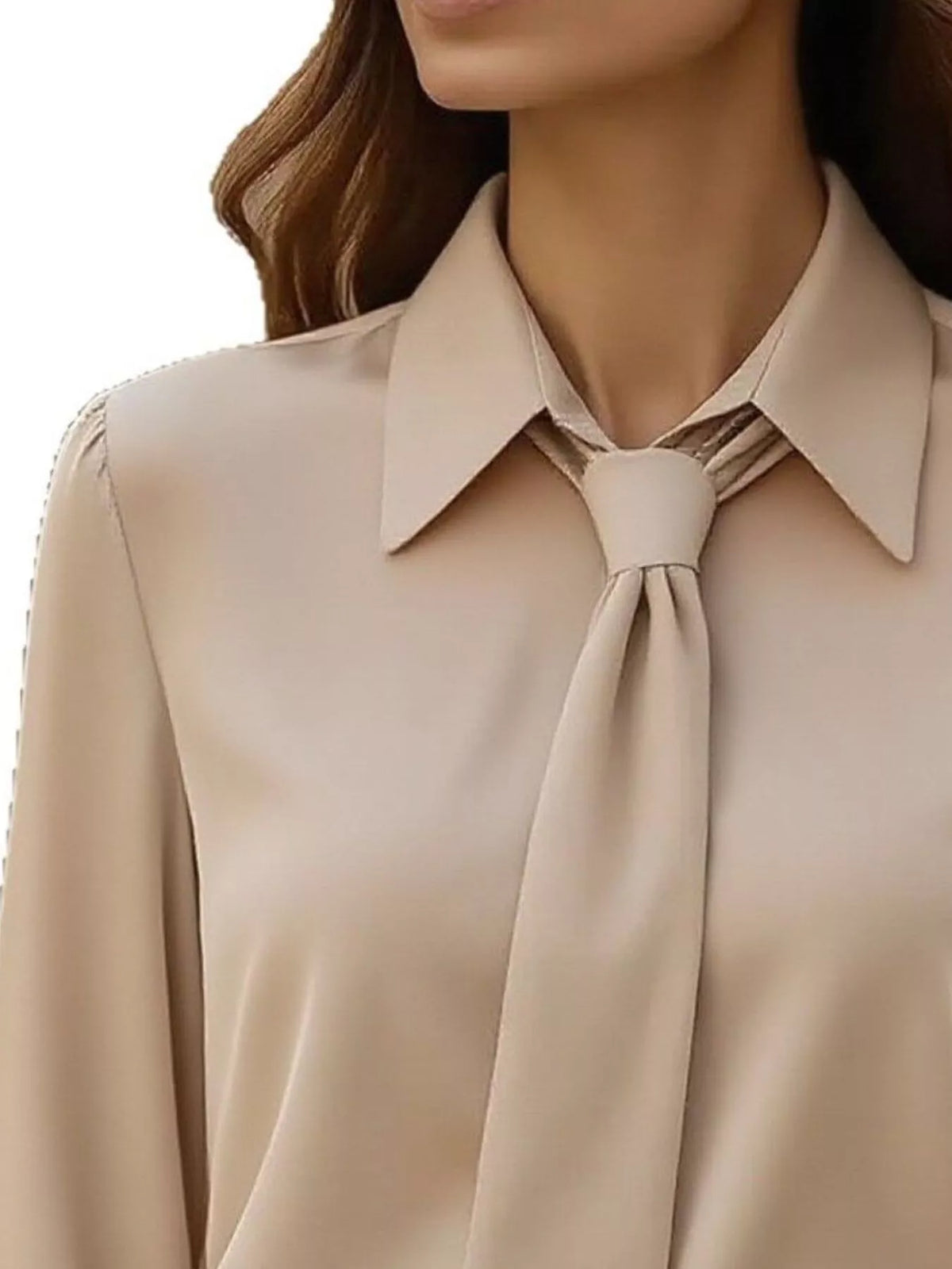 Collared Neck Long Sleeve Blouse (12)