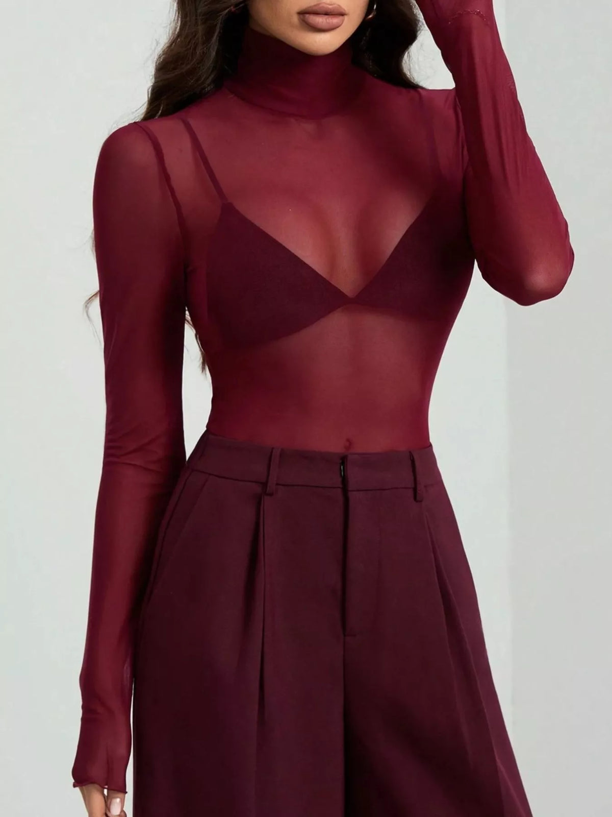 Sheer Mesh Turtleneck Top (6)