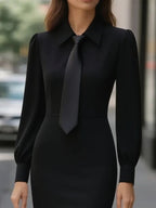 Tie-neck Long Sleeve Dress (6)