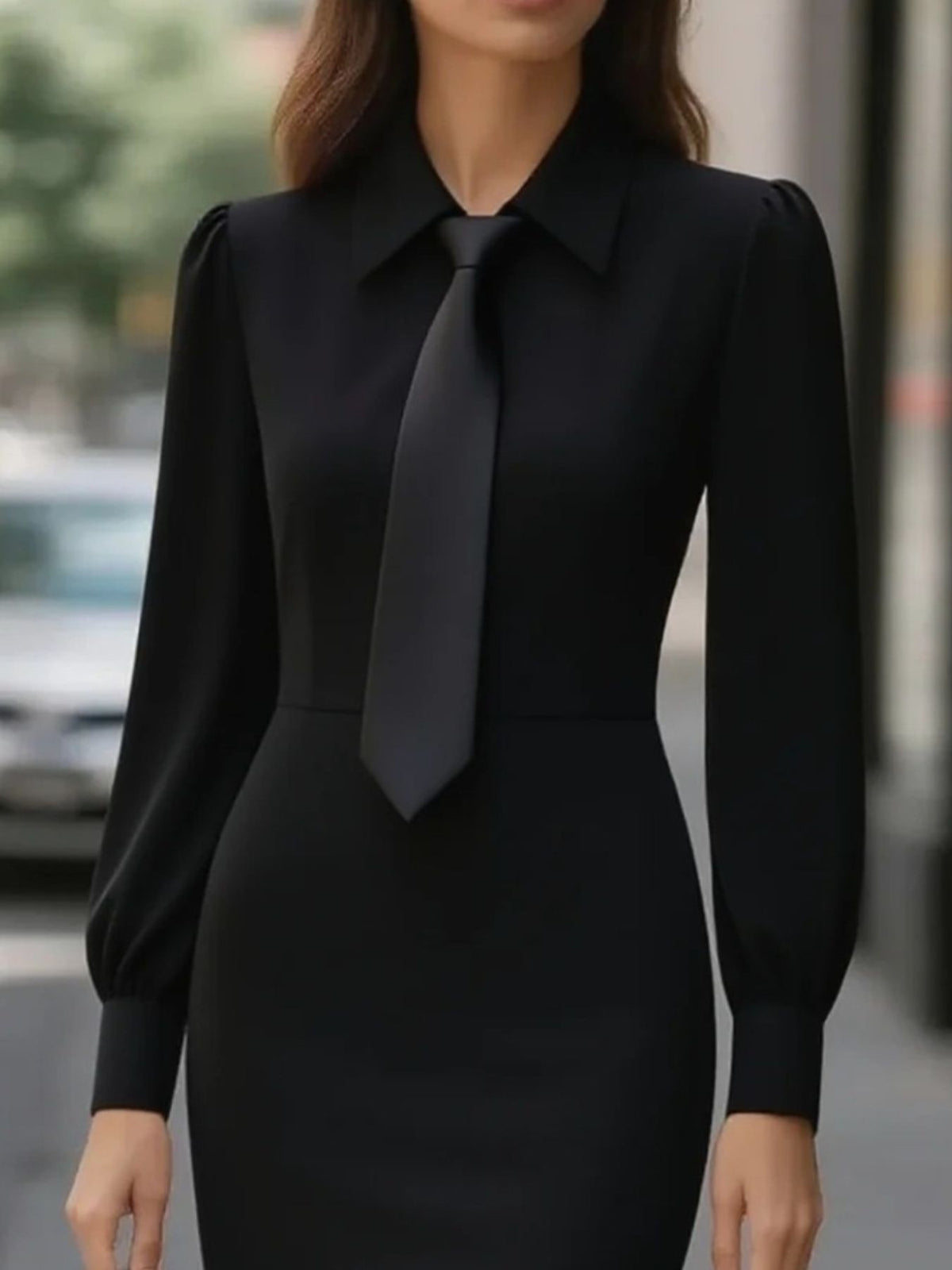 Tie-neck Long Sleeve Dress (6)