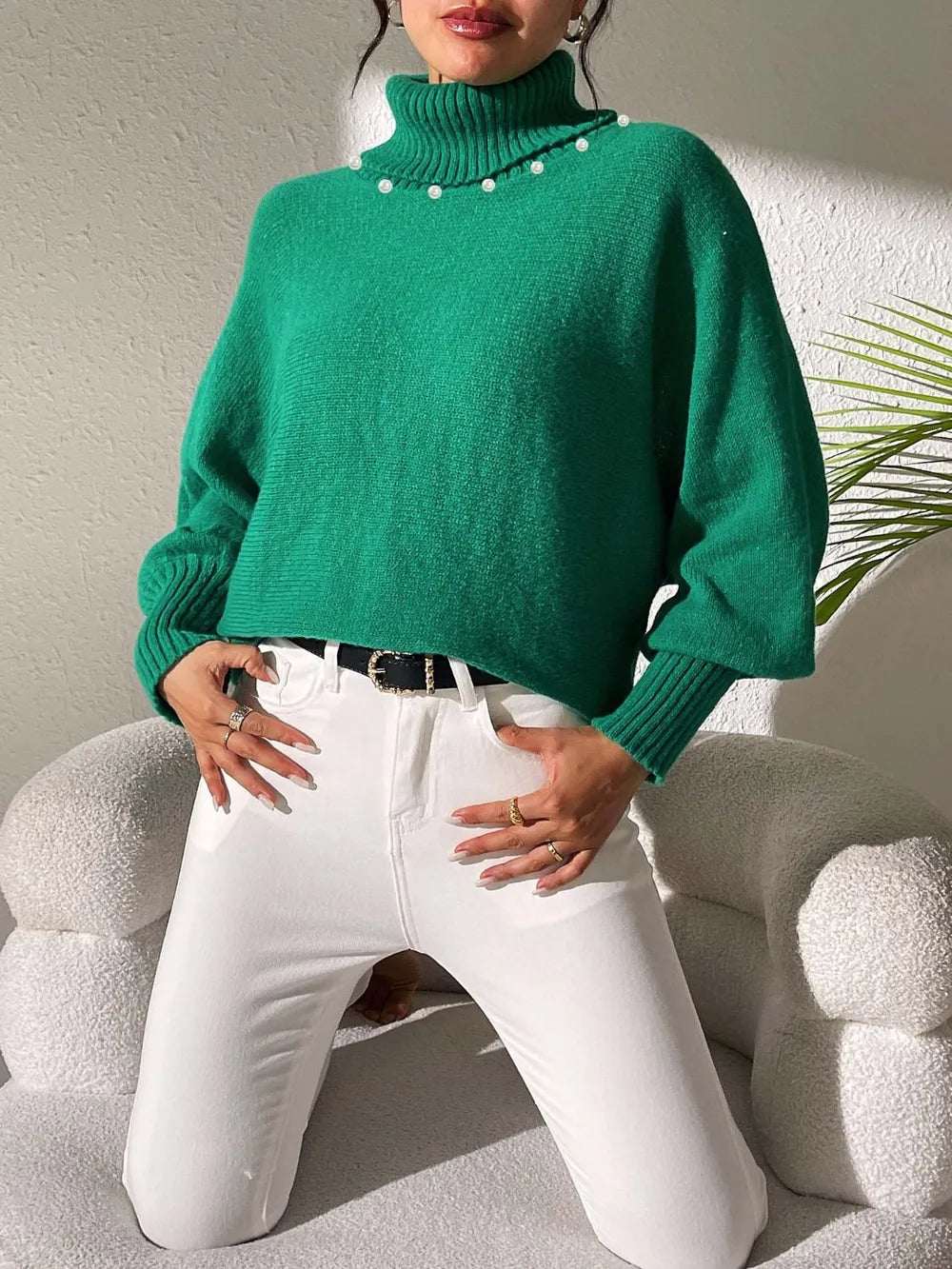 Turtleneck Long Sleeve Sweater (19)