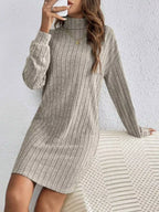 Casual Ribbed Turtleneck Long Sleeve Mini Dress (2)