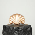 Shell Multicolor Chain Shoulder Messenger Bag photo 5