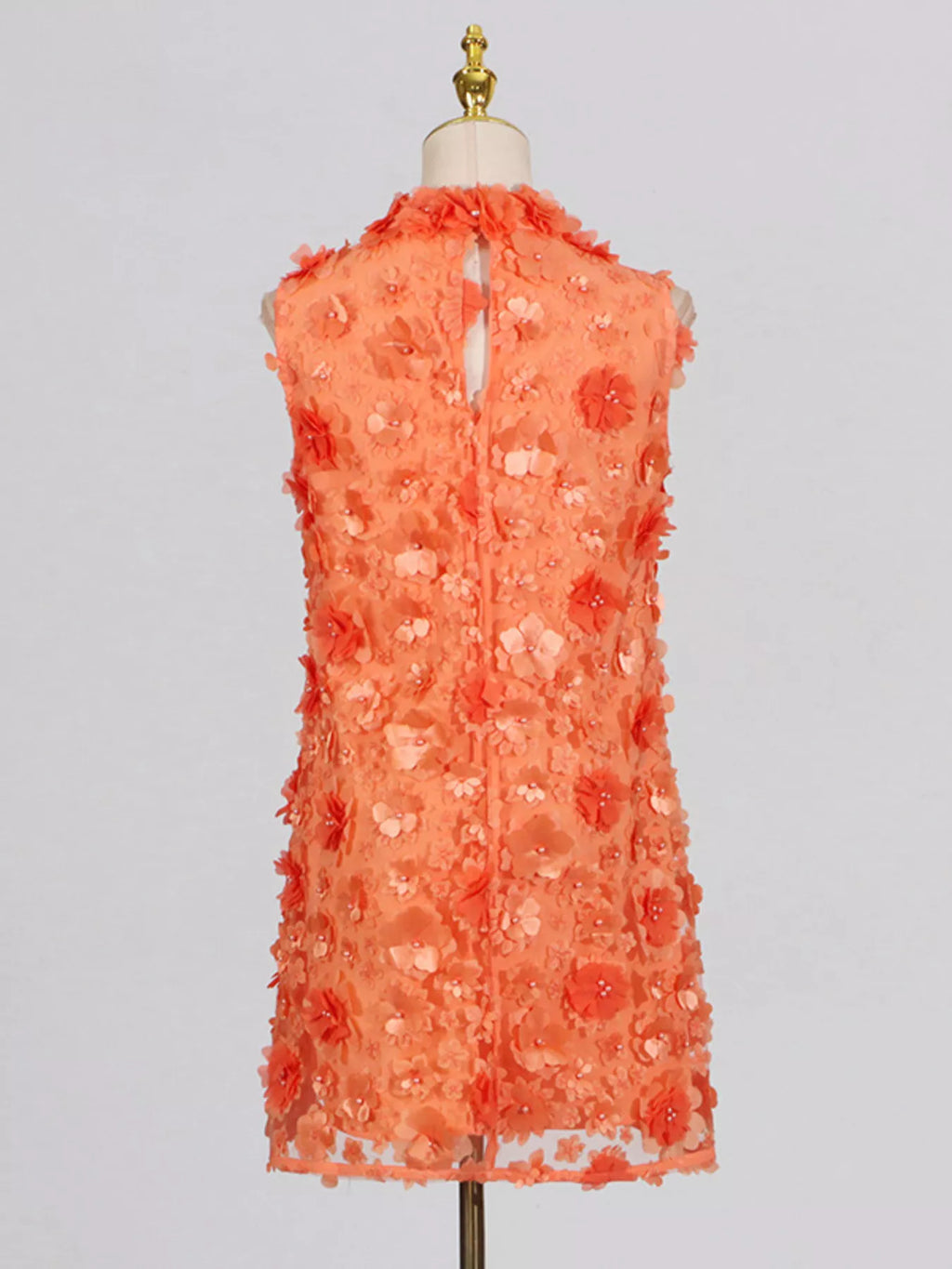 Floral Applique High Neck Sleeveless Mini Dress (3)