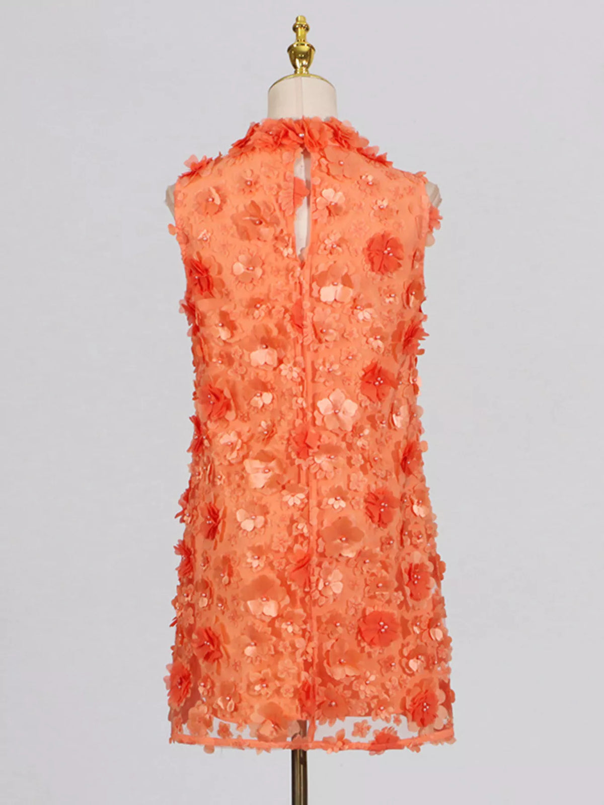 Floral Applique High Neck Sleeveless Mini Dress (3)