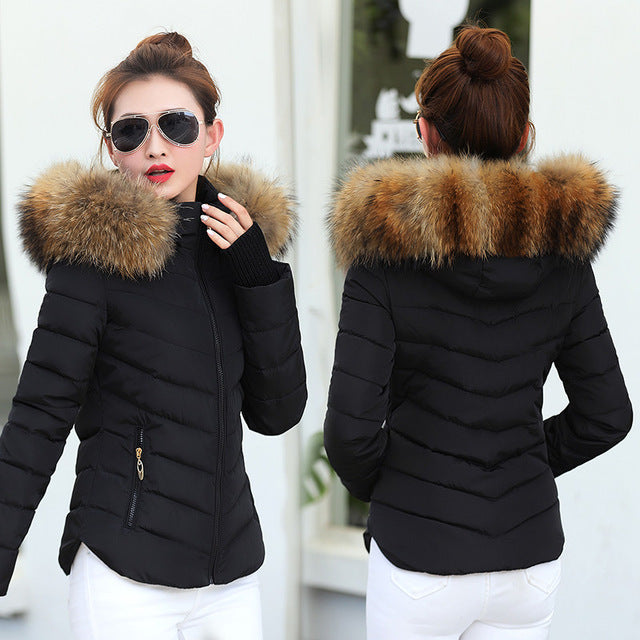 Brown Parka Jacket Winter Parkas variant CJJK119474402BY|CJJK119474403CX|CJJK119474404DW|CJJK119474405EV