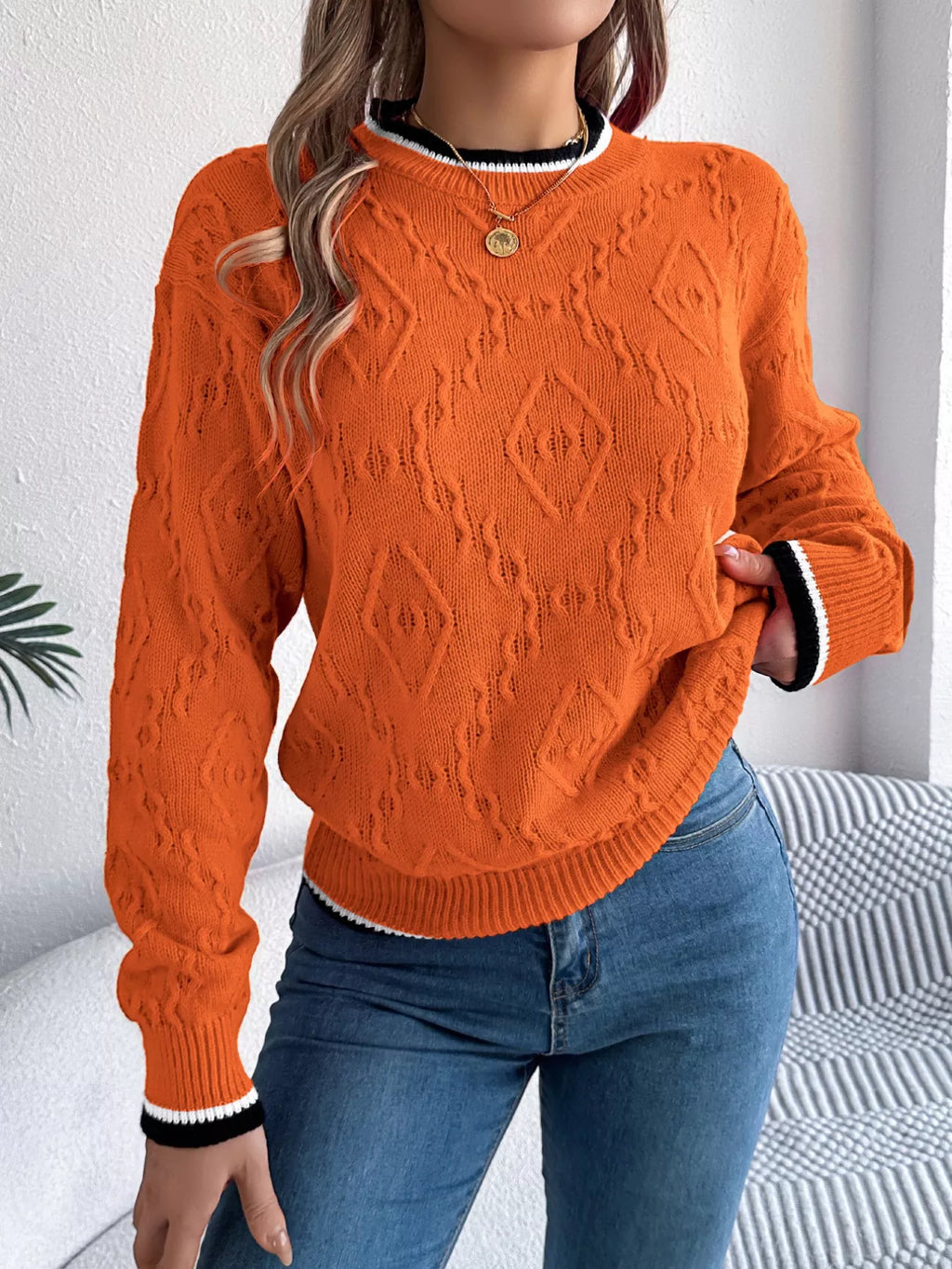 Contrast Trim Round Neck Sweater (17)