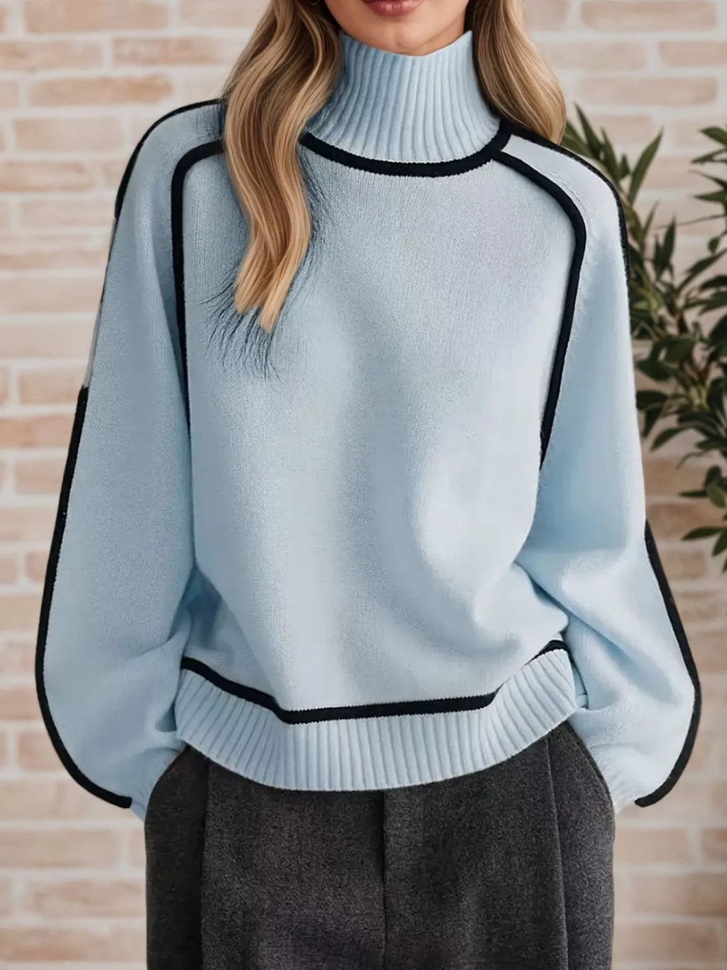 Contrast Trim Turtleneck Sweater (15)
