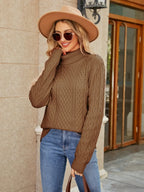 Cable-knit Mock Neck Sweater (3)