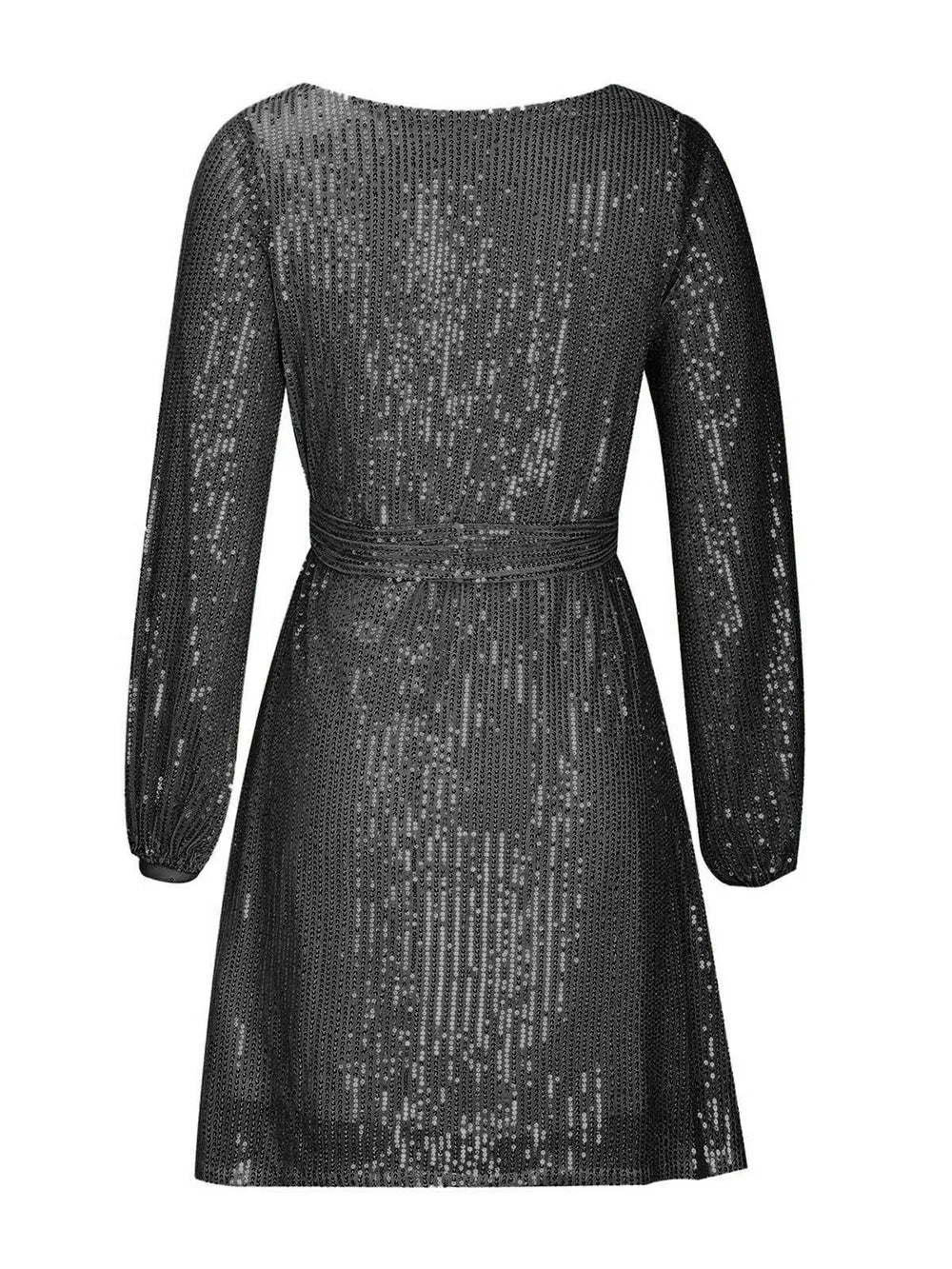 Sequin Tie Waist Long Sleeve Mini Dress (13)