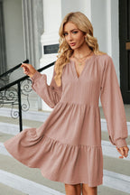Notched Neck Long Sleeve Mini Dress (8)