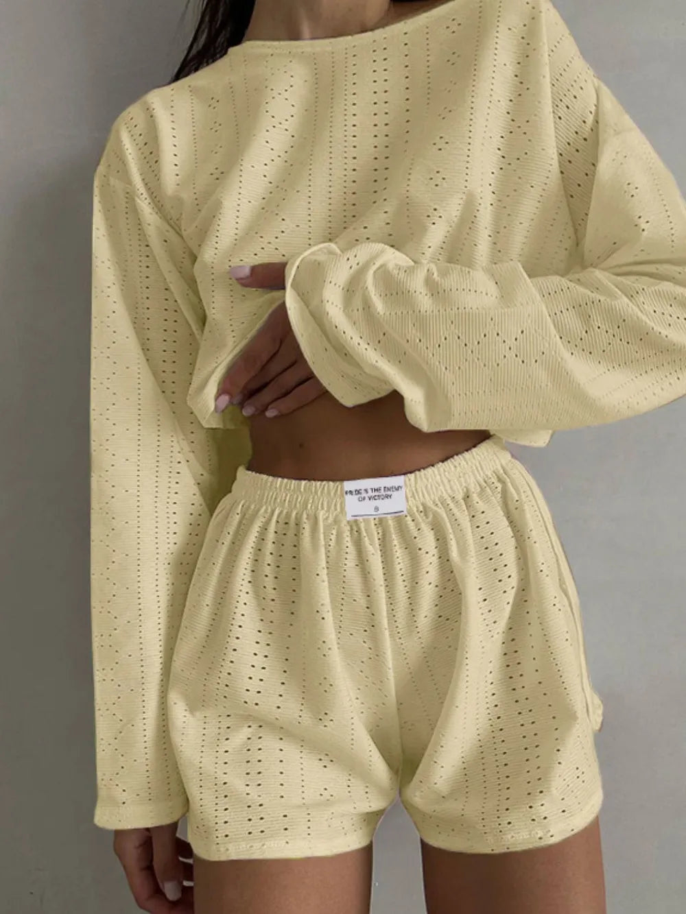 Eyelet Round Neck Top Shorts Set (19)