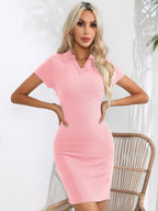 Johnny Collar Short Sleeve Mini Dress (11)