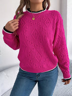Contrast Trim Round Neck Sweater (4)