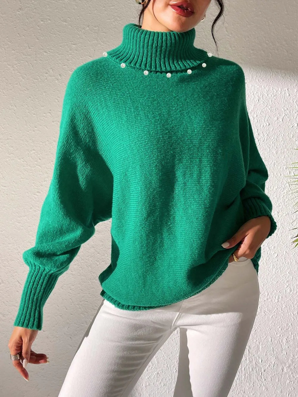 Turtleneck Long Sleeve Sweater (16)