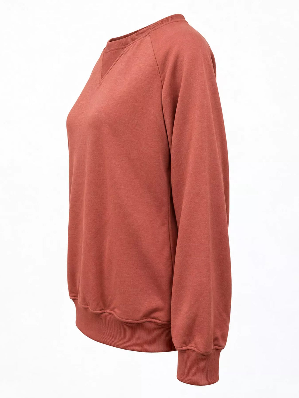 Crew Neck Raglan Sleeve Sweatshirt (15)