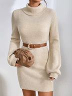 Turtleneck Ribbed Knit Sweater Dress (7)