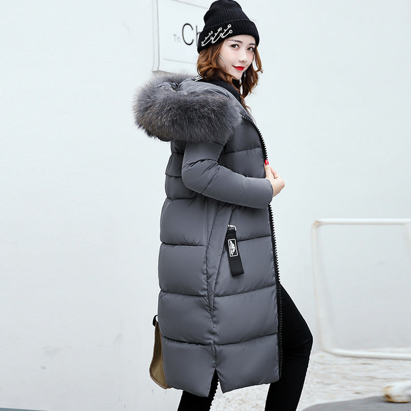 Long Cotton Jacket Hooded Big Fur Collar Down variant CJNSWTFP00063-Grey-XXL|CJNSWTFP00063-Grey-L|CJNSWTFP00063-Grey-M|CJNSWTFP00063-Grey-3XL|CJNSWTFP00063-Grey-XL