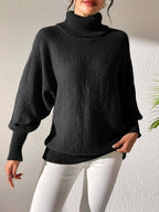 Turtleneck Long Sleeve Sweater (6)