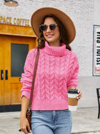 Turtle Neck Cable-knit Sweater (8)