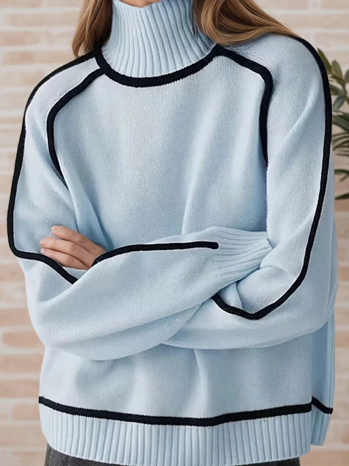 Contrast Trim Turtleneck Sweater (13)