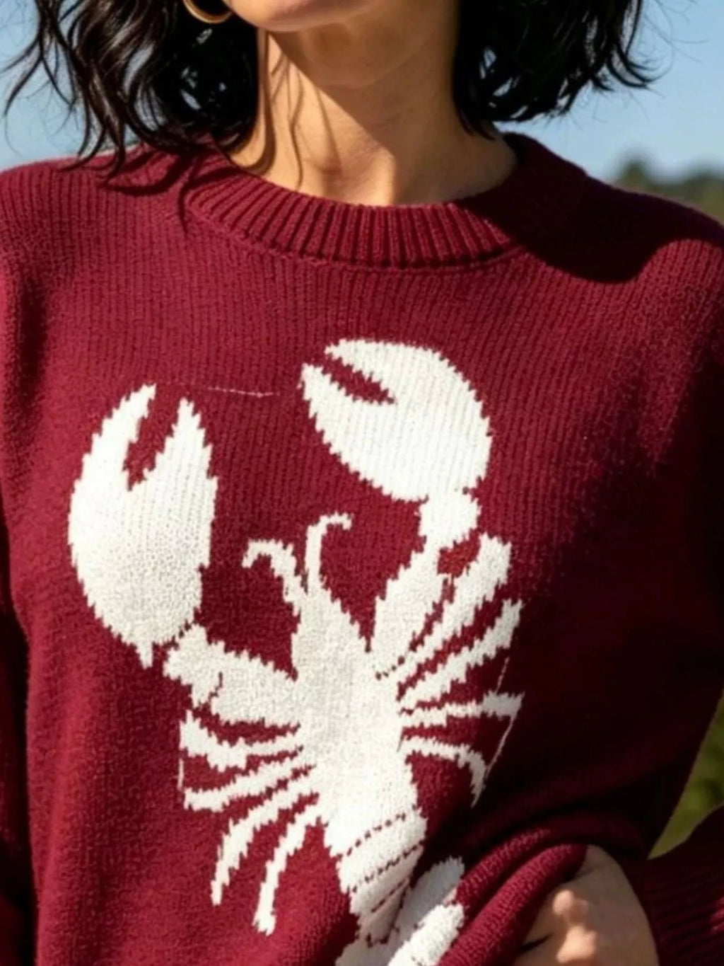 Lobster Graphic Crew Neck Sweater (10)
