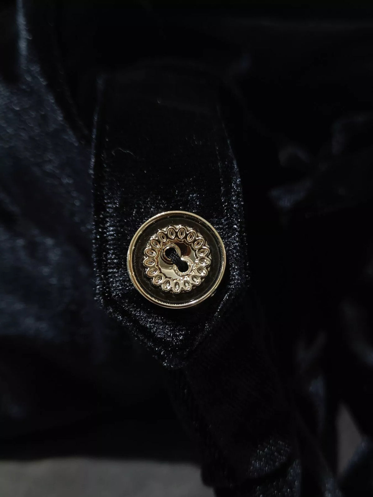 Velvet Button-down Midi Dress (5)