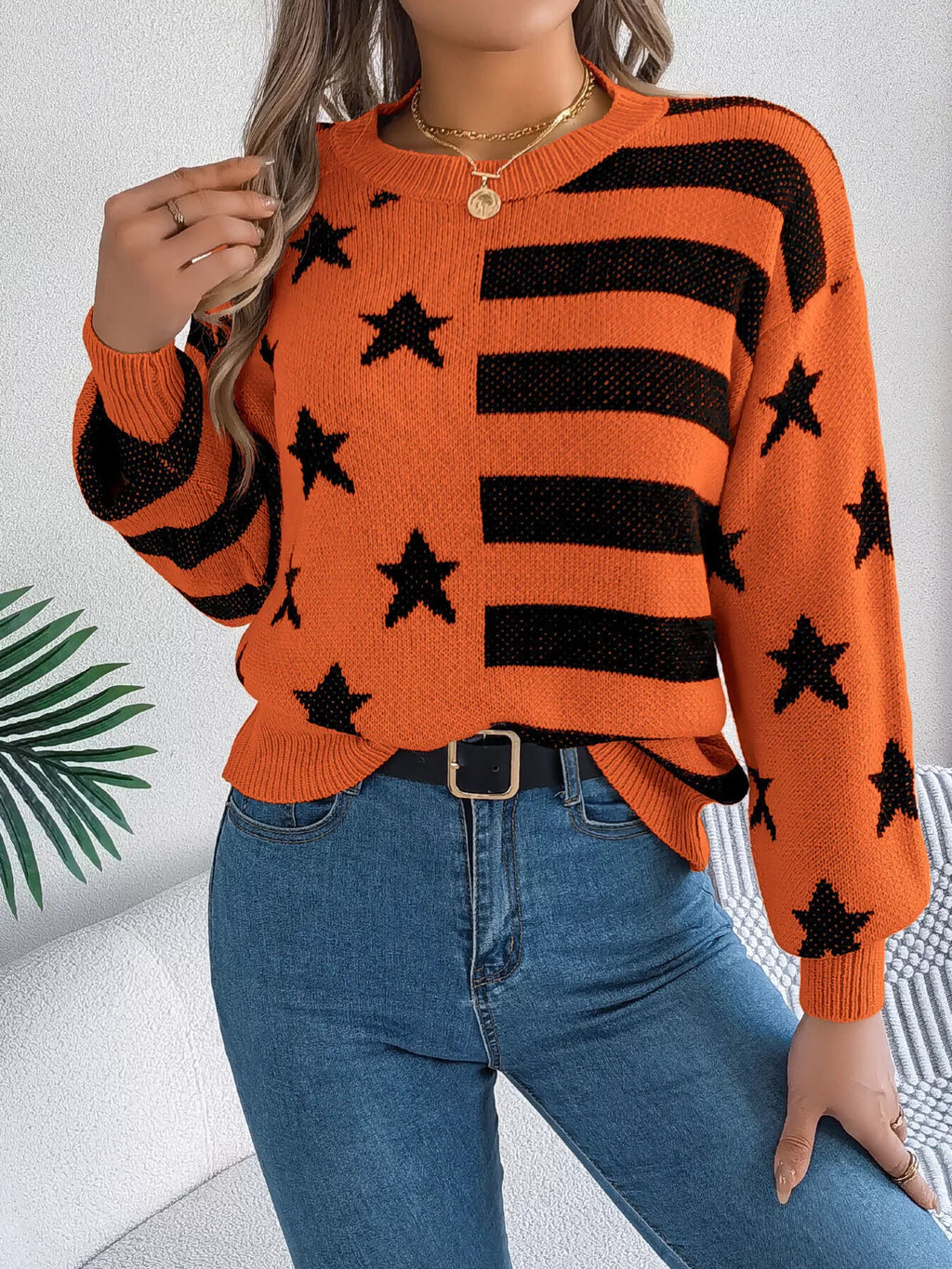 Stars Stripes Pattern Casual Round Neck Sweater (12)