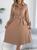 Pleated Tie Waist Balloon Sleeve Dress (4)