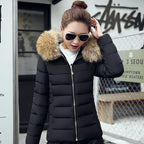 Slim Cotton Padded Jacket Down variant CJNSWTJK00345-Black-3XL|CJNSWTJK00345-Black-L|CJNSWTJK00345-Black-4XL|CJNSWTJK00345-Black-XXL|CJNSWTJK00345-Black-XL|CJNSWTJK00345-Black-M