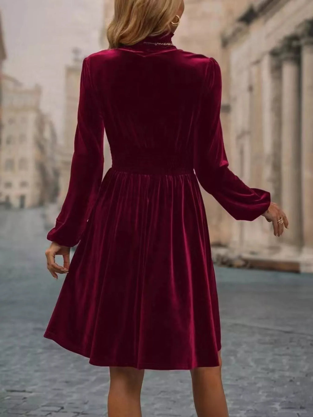 Velvet High Neck Long Sleeve A-line Dress (2)