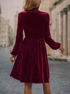 Velvet High Neck Long Sleeve A-line Dress (2)
